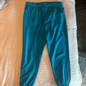 Albion fit jettsetter joggers.